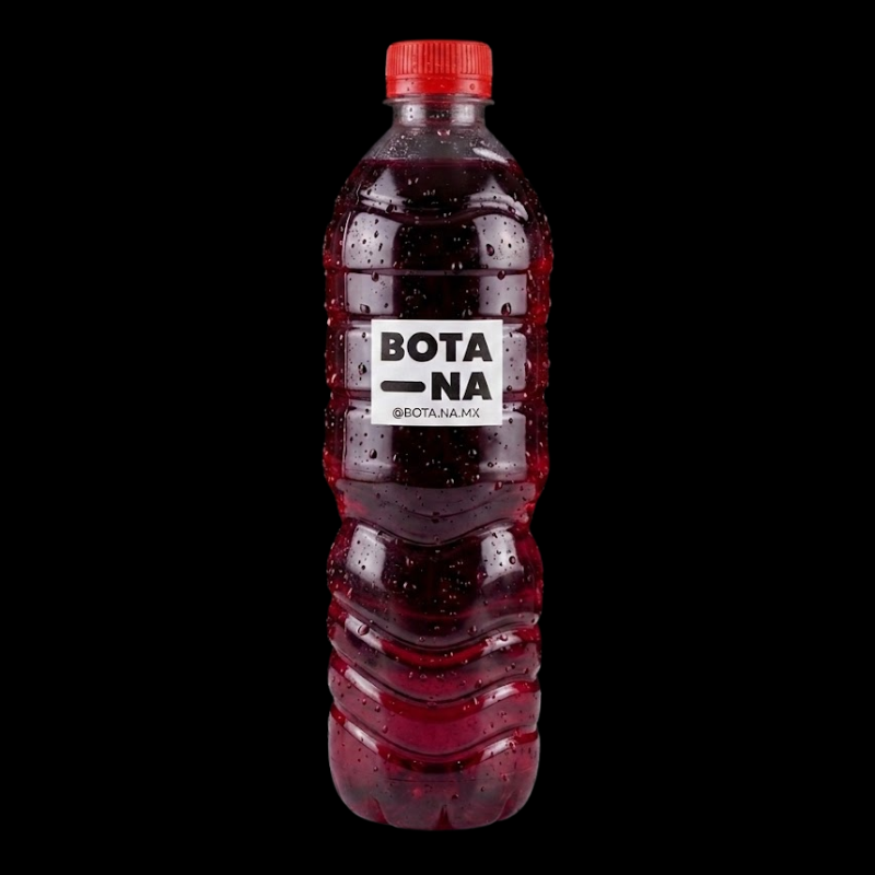 Agua de Jamaica